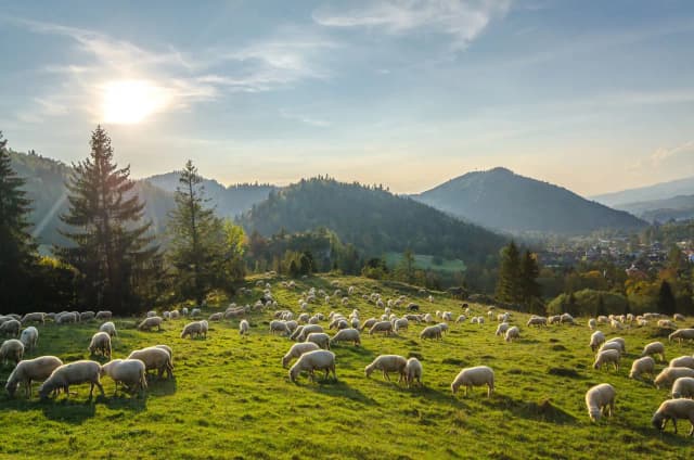 Pieniny gdzie nocleg - najlepsze opcje na udany wypoczynek Pieniny gdzie nocleg - najlepsze opcje na udany wypoczynek
