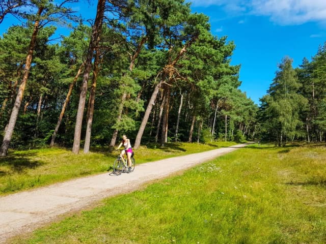 Wicie atrakcje: odkryj rodzinne skarby i niezapomniane chwile Wicie atrakcje: odkryj rodzinne skarby i niezapomniane chwile