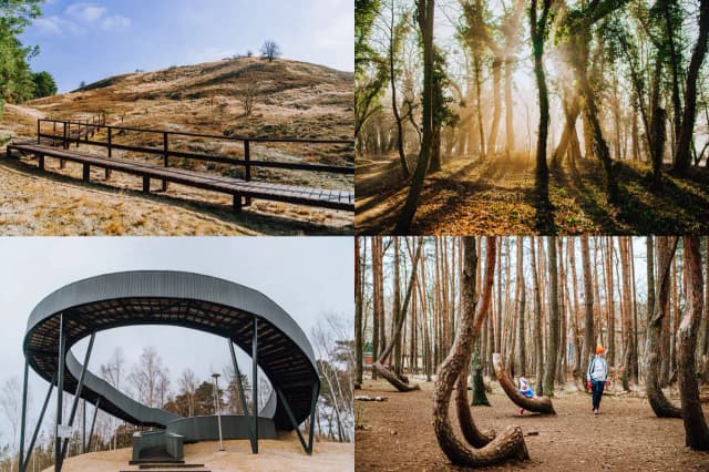 Najciekawsze atrakcje w Pyrzycach, które musisz zobaczyć Najciekawsze atrakcje w Pyrzycach, które musisz zobaczyć